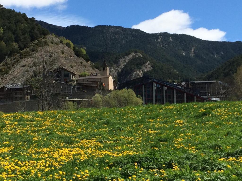 Hotel Ordino Pokoj fotografie
